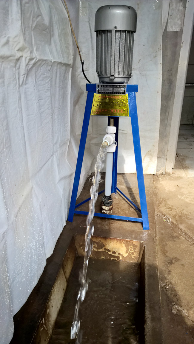 軟軸泵水流速度